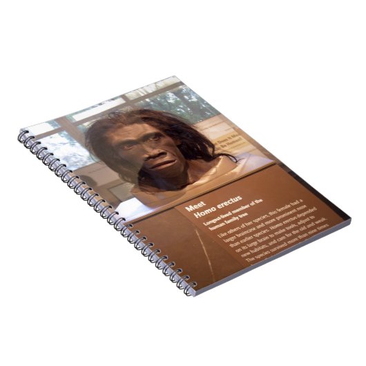 Homo erectus museumtentoonstelling notitieboek (Rechterzijde)