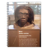 Homo erectus museumtentoonstelling notitieboek (Voorkant)