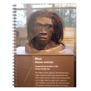 Homo erectus museumtentoonstelling notitieboek