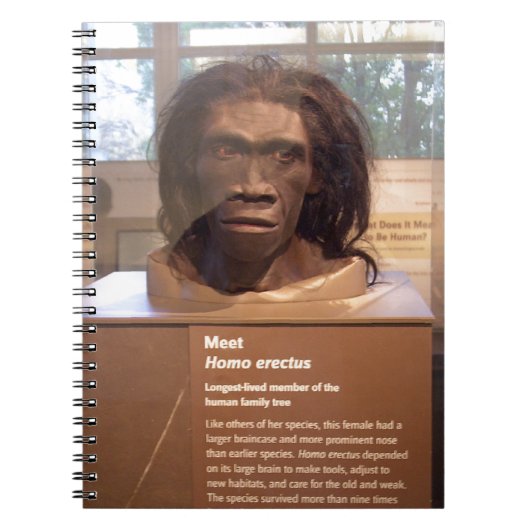 Homo erectus museumtentoonstelling notitieboek (Voorkant)