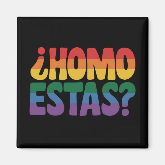 Homo Estas Grappig Spaans Mexicaanse Gay Ally LGBT Magneet (Voorkant)