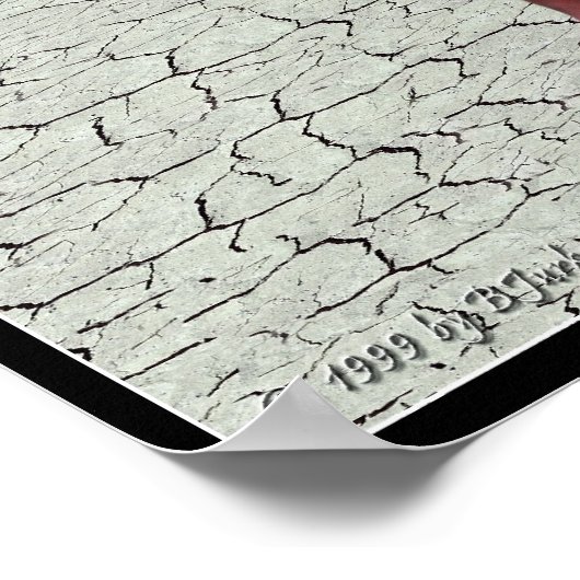 Homo Pholidota Medius - Poster (Hoek)