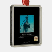 Homo Sapiens Metalen Ornament (Rechts)