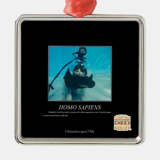 Homo Sapiens Metalen Ornament (Voorkant)