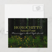 Homochitto National Forest - briefkaart Mississipp (Voorkant / Achterkant)