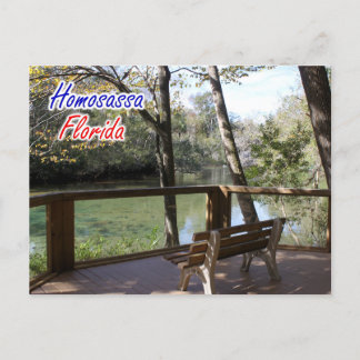 Homosassa Florida Briefkaart