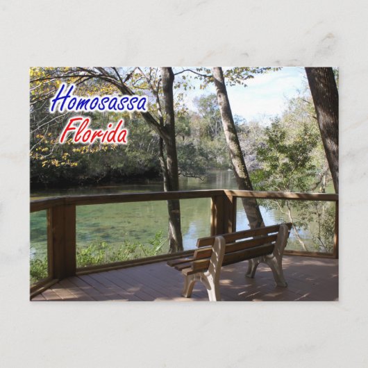 Homosassa Florida Briefkaart (Voorkant)