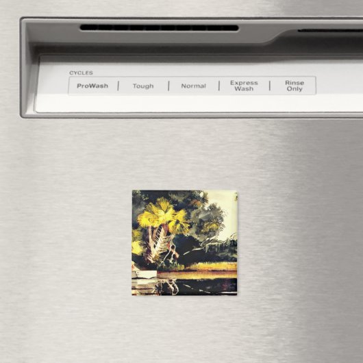 Homosassa, Oerwoud (Florida), Winslow Homer Magneet (Insitu (Vaatwasser))