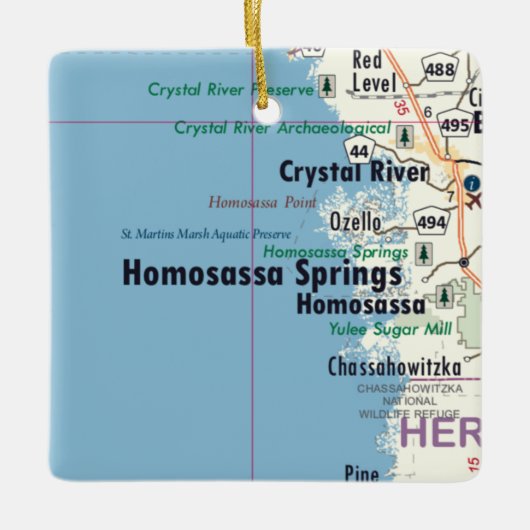Homosassa Springs Florida Map Keramisch Ornament (Voorkant)