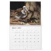 Homosassa Springs Wildlife Park 2026 Kalender (Feb 2026)