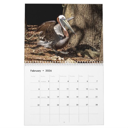 Homosassa Springs Wildlife Park 2026 Kalender (Feb 2026)