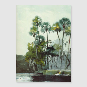 Homosassa, Winslow Homer