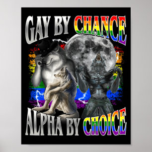 Homoseksueel door toeval, alfa door keuze, alfa wo poster