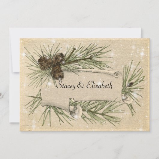 Homoseksueel / lesbisch winter bruiloft uitnodigin kaart (Voorkant)