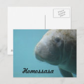 Homossasa Springs Briefkaart (Voorkant / Achterkant)