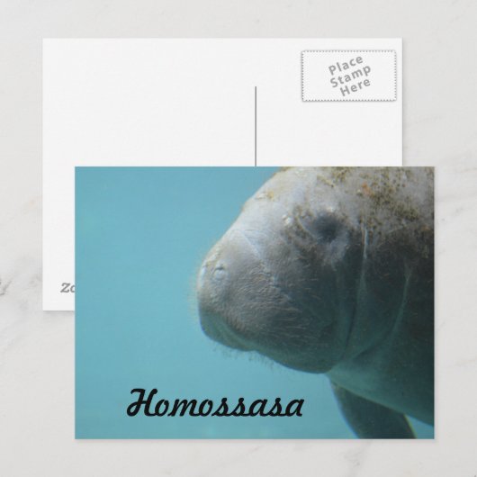 Homossasa Springs Briefkaart (Voorkant / Achterkant)