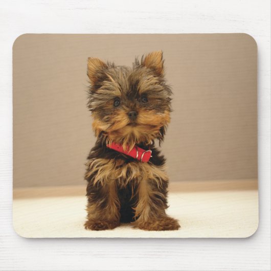hond1 muismat (Voorkant)