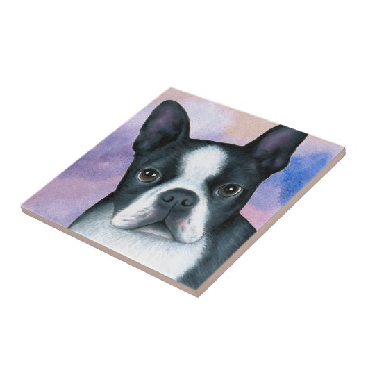 hond 128 color Boston Terrier Tegeltje (Zijkant)