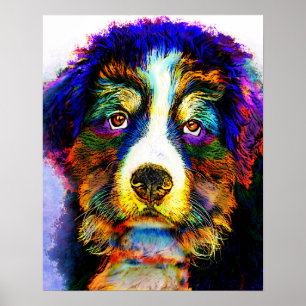 hond 157 Bernese Mountain Poster