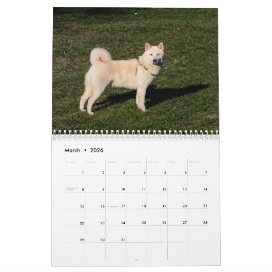 Hond 2026 kalender (Mar 2026)