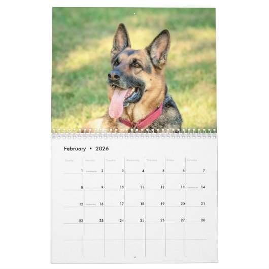 Hond 2026 kalender (Feb 2026)