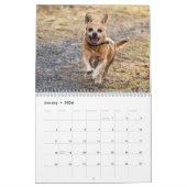 Hond 2026 kalender (Jan 2026)