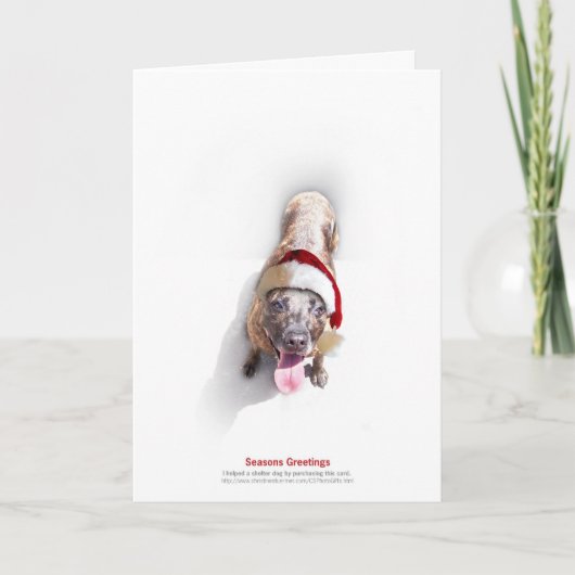 Hond 2 van de Schuilplaats van de vakantie Feestdagen Kaart (Voorkant)