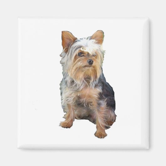 Hond 4 A magneet (Voorkant)