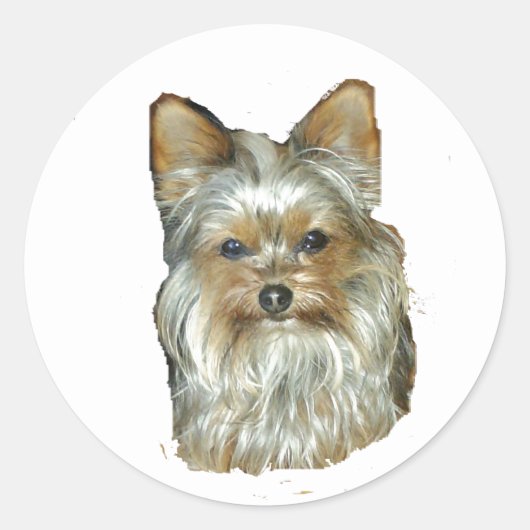 Hond 4B, Yorkshire Terrier, Stickers (Voorkant)