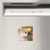 Hond 84 magneet (Insitu (Vaatwasser))