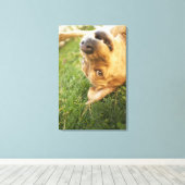 Hond aan de achterkant canvas afdruk (Insitu (Houten vloer))