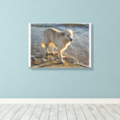 Hond aan de kust canvas afdruk (Insitu (Houten vloer))