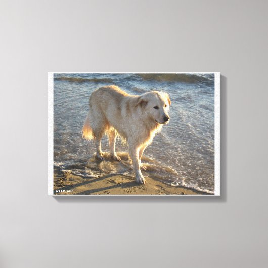 Hond aan de kust canvas afdruk (Voorkant)