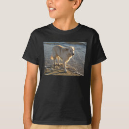 Hond aan de kust t-shirt