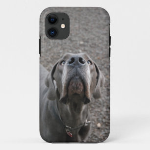 Hond aan het oor iPhone 11 hoesje