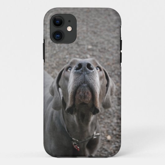 Hond aan het oor Case-Mate iPhone case (Achterkant)