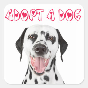 Hond Adoptie Dalmatiner Puppy Hond Welkomst Sticke Vierkante Sticker