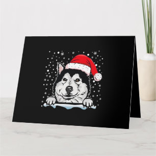 Hond Alaskan Malamute Hond Kerstmis Santa Hat Matc Kaart