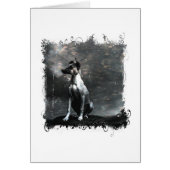  hond Alle keren (Voorkant)