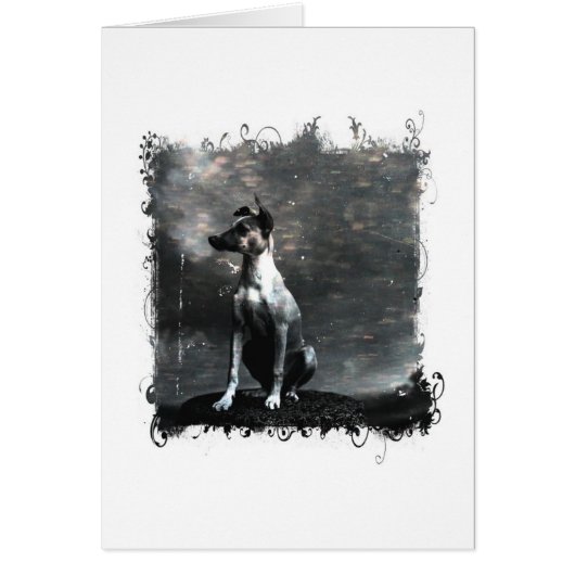  hond Alle keren (Voorkant)