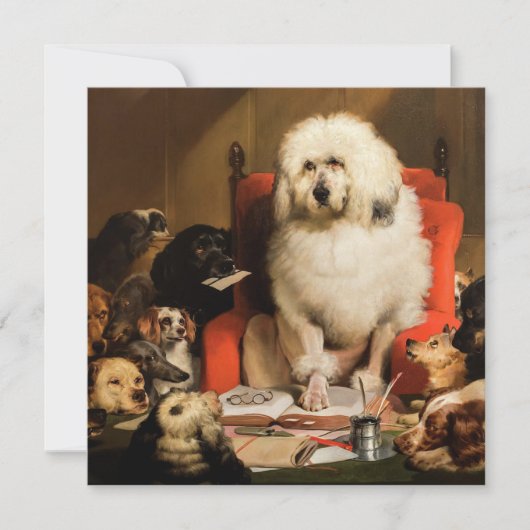 Hond als rechter De wet neerleggen in de rechtbank Kaart (Voorkant)