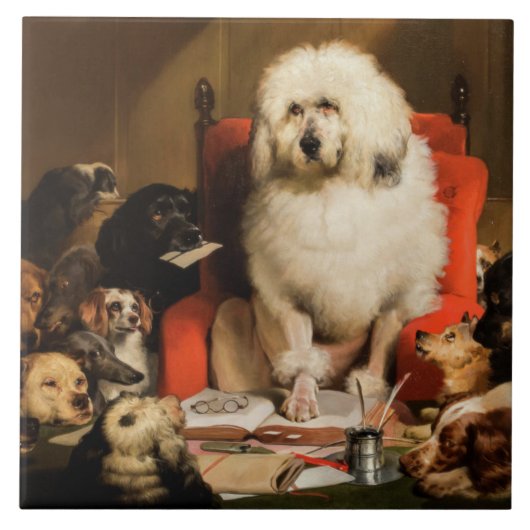 Hond als rechter De wet neerleggen in de rechtbank Tegeltje (Voorkant)