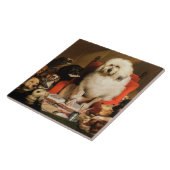 Hond als rechter De wet neerleggen in de rechtbank Tegeltje (Zijkant)