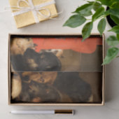 Hond als rechter De wet neerleggen in de rechtbank Tissuepapier (Geschenk)