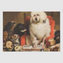 Hond als rechter De wet neerleggen in de rechtbank