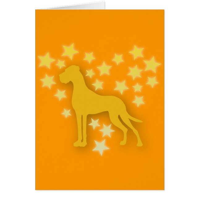 Hond als Sterren (Voorkant)
