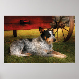 Hond - Altijd Trouw Poster