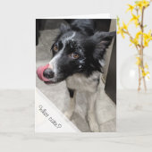 Hond at taart Verjaardag Kaart (Gele Bloem)