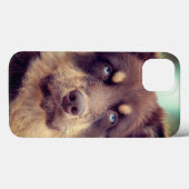 Hond, Australische herder, huisdier Case-Mate iPhone Case (Achterkant (horizontaal))