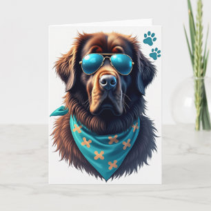 Hond Aviator Vaderdag kaart